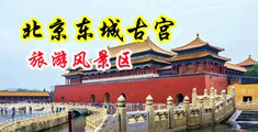 大鸡巴艹穴P图中国北京-东城古宫旅游风景区